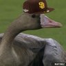 john's profile picture