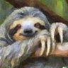 Фото профиля The Coding Sloth