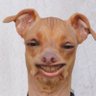 quispirin's profile picture