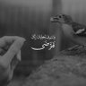 mostefa's profile picture