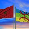 MOUSTAPHA ⵎⵓⵚⵟⴰⴼⴰ 的头像