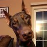 jason's profile picture
