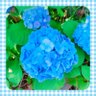 幸's profile picture