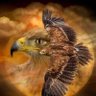 Eagle-eyed 的头像