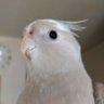 Profilbild von ami_ta