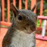 Marley Swift profil fotoğrafı