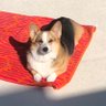 Profilbild von Remi