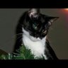Фото профиля Debra Coones