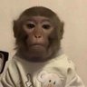 Profilbild von Ali