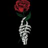 FÃVÖÜR ❤️ 🌹 的头像
