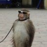 rhude's profile picture