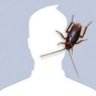 thaihoangv's profile picture
