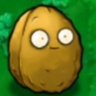 Profilbild von songmingxiu