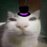 Profilbild von Cat with a Hat