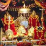 Фото профиля Dr Trivedi