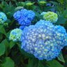 Фото профиля yoritomo1180