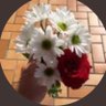 💎أم عمر 🇸🇦's profile picture