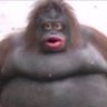 MAV's profile picture