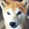 紗夜✩⃝*sayo* 的头像
