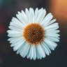 puzzled.me 😊🌻 profil fotoğrafı