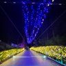 Фото профиля tiểu cẩu