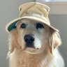 Janet 🐶⛰️✨☕🫖 profil fotoğrafı