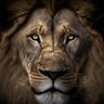 SamAmol. profil fotoğrafı