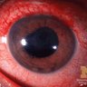 L'OEIL ROUGE profil fotoğrafı