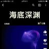 緋雨 的头像