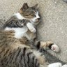 MonMon profil fotoğrafı