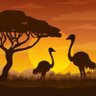 Oiseau Remigrateur 的头像