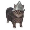 Profilbild von Rucking fetard