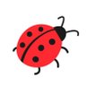 Lady_Bug 🇺🇲 的头像