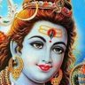 shivam kumar's profile picture
