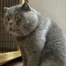 牧人桑诺's profile picture