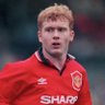 Scholes🎻's profile picture