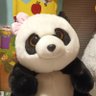 Bubu's profile picture