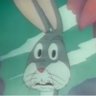 Hanshingsoloo's profile picture