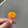 Фото профиля Dr.Mo
