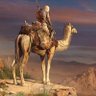 Nore Gambino profil fotoğrafı