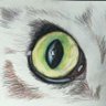 Profilbild von Silver-Haired Dame
