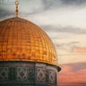 Фото профиля Mahran Alhamwi