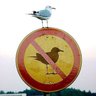 Providentaim's profile picture