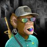 CryptoReflections's profile picture