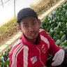 Sukoshi Dame profil fotoğrafı
