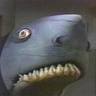 Profilbild von Just a Landshark