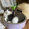 まずメン profil fotoğrafı