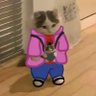 Profilbild von squishywizard.bsky.social