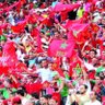 🇲🇦♥️🇲🇦Abdou Amir 的头像