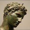Fénix's profile picture